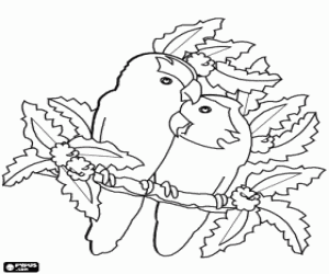 Coloriage Deux oiseaux dans l'amour sur une branche