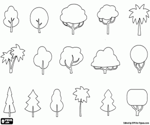 Coloriage Différentes formes d'arbres