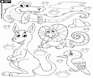 Coloriage Différents animaux d’Australie