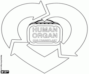 Coloriage Don et transplantation d'organes