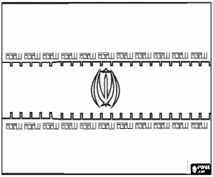 Coloriage Drapeau de l'Iran