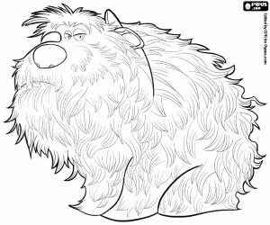 Coloriage Duke, un chien grand et poilu