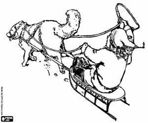 Coloriage Enfant sur un traîneau avec un husky