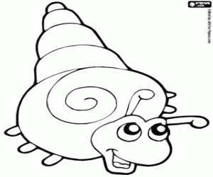 Coloriage Escargot de mer