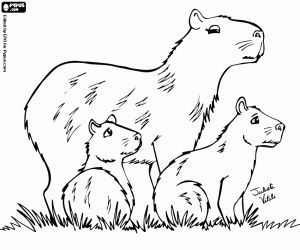 Coloriage Famille de cabiai, capybaras