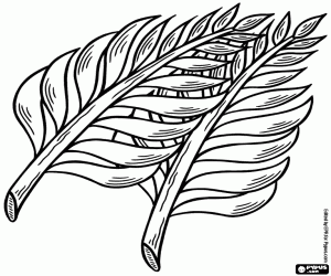 Coloriage Deux feuilles de palmier pour Pâques
