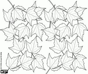 Coloriage Feuilles sèches sur le sol à l'automne
