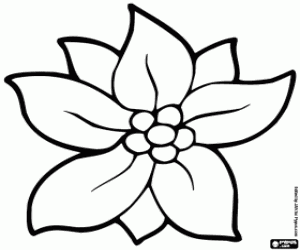 Coloriage Fleur de Noël