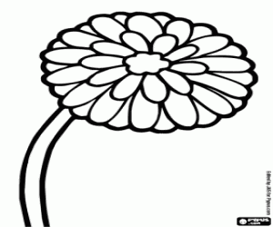 Coloriage Fleur de pissenlit