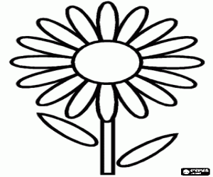 Coloriage Fleur simple - Une pâquerette 
