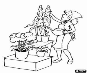Coloriage Le fleuriste et leurs plantes
