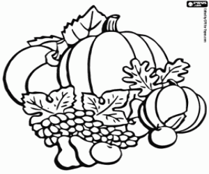Coloriage Fruits d'automne