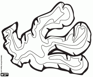 Coloriage Gingembre, épice épicée