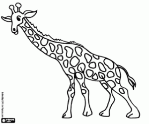 Coloriage Girafe avec le cou vers l'avant