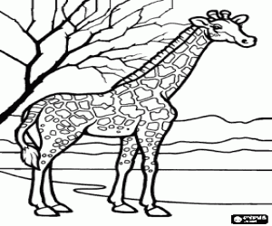 Coloriage Girafe dans le paysage