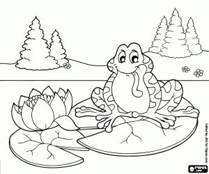 Coloriage La grenouille sur un nénuphar