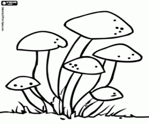 Coloriage Groupe de champignons