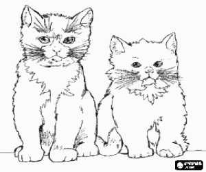 Coloriage Groupe de chats, vu de face