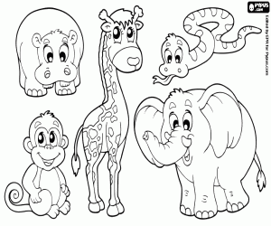 Coloriage Groupe de cinq animaux d'Afrique