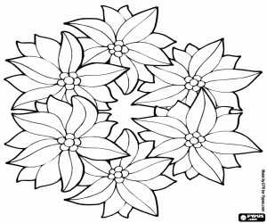 Coloriage Groupe de poinsetties