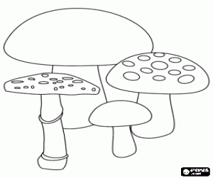 Coloriage Groupe des champignons d'espèces différentes