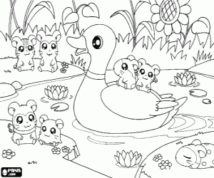 Coloriage Hamtaro et ses amis dans l'étang