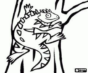 Coloriage Iguane sur le tronc d'un arbre