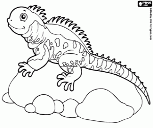 Coloriage Iguane sur un rocher