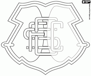 Coloriage Insigne de Santa Cruz Futebol Clube