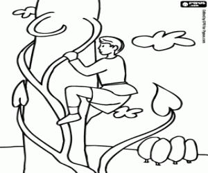 Coloriage Jack et le haricot magique