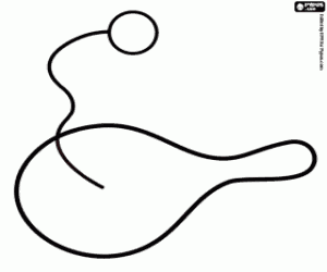 Coloriage Jeu individuel avec raquette