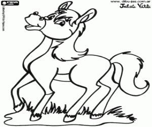 Coloriage Le jeune cheval joyeux
