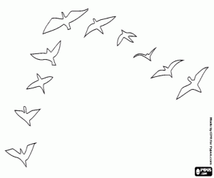 Coloriage La journée des oiseaux migrateurs