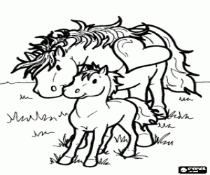 Coloriage La jument caressant le petit cheval