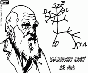 Coloriage L'arbre de l'évolution de Darwin