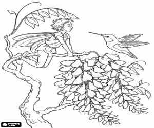 Coloriage L'elfe et le colibri