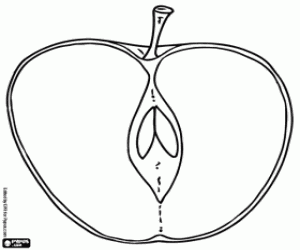 Coloriage L'intérieur d'une pomme