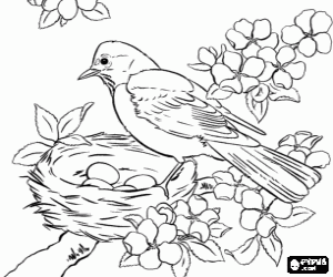 Coloriage L'oiseau est de prendre soin des oeufs dans le nid