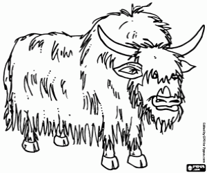 Coloriage L'yack, un animal de l'Himalaya