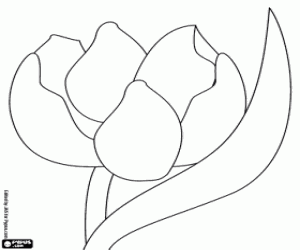Coloriage La belle fleur de Poucette