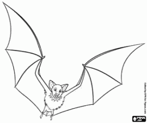 Coloriage La chauve-souris de l'Hôtel Transylvanie