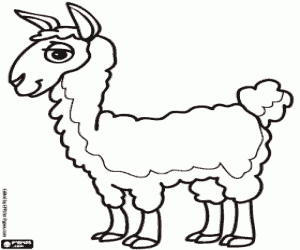 Coloriage Le Lama, l'animal des incas