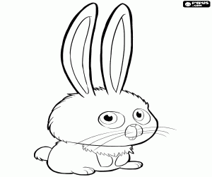 Coloriage Le lapin blanc Snowball
