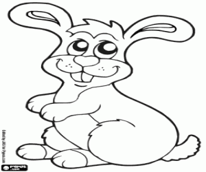 Coloriage Lapin de garenne