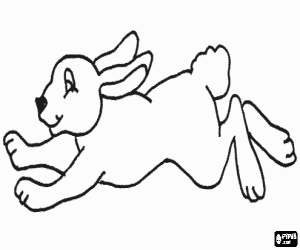 Coloriage Lapin en courant