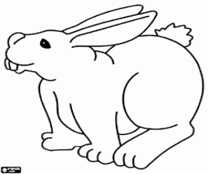 Coloriage Le lapin est renifler tout autour