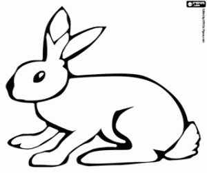Coloriage Lapin