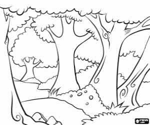 Coloriage Les arbres d'une forêt