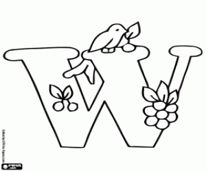 Coloriage Lettre W, oiseau et petits fruits