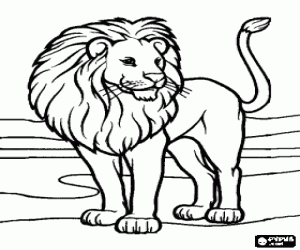 Coloriage Lion dans un paysage désertique